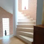 Leos *
